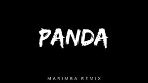 Panda Marimba Remix ton de apel - Tonurideapelgratuite